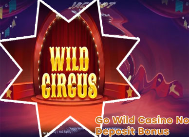 Wild casino no deposit bonus