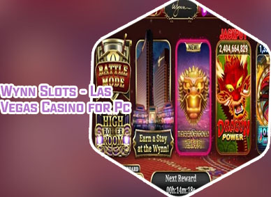 Wynn slots